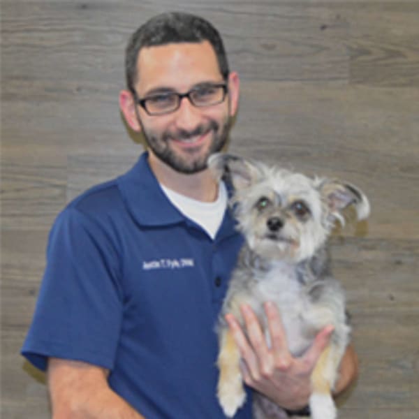 Dr. Justin Fyfe, Jacksonville Fear Free Certified Veterinarian